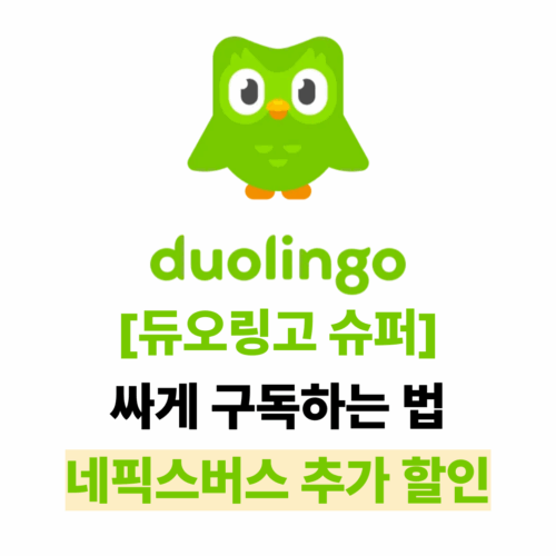 듀오링고 슈퍼 싸게 구독하는 법｜네픽스버스 추가 할인 🎓