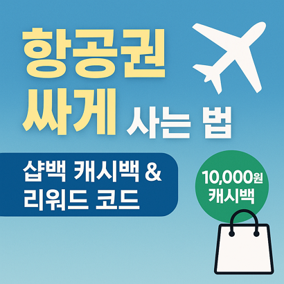 항공권 싸게 사는 법|비행기표 특가 꿀팁 + 샵백 캐시백까지 ✈️ 1 항공권 싸게 사는 법|비행기표 특가 꿀팁 + 샵백 캐시백까지 ✈️