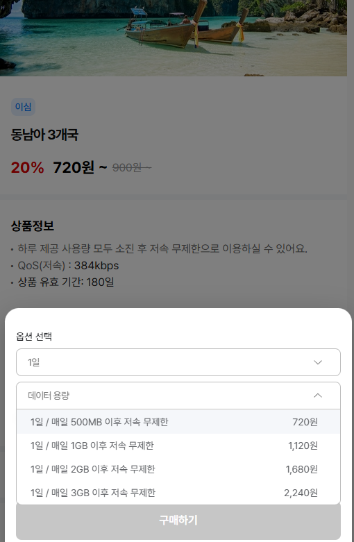 동남아 3개국 옵션