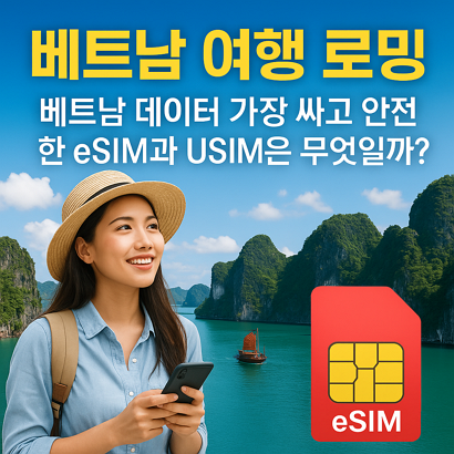 [베트남 여행 로밍] 베트남 데이터 가장 싸고 안전한 eSIM과 USIM은 무엇일까?