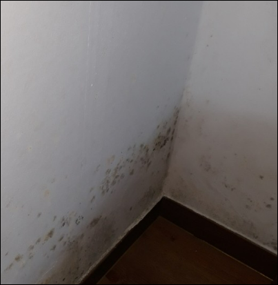 부동산 임장 체크리스트 핵심 정리 - 내 집 마련 필수 확인 🏠 7 건물 곰팡