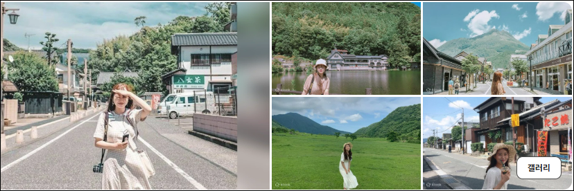 후쿠오카 버스투어 | 인디고 트래블로 유후인-유후다케-히타-다자이후 다녀온 후기 8 DSLR 사진