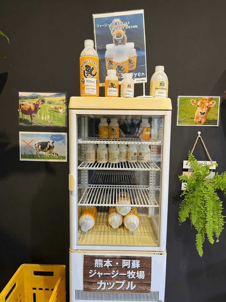 후쿠오카 버스투어 | 인디고 트래블로 유후인-유후다케-히타-다자이후 다녀온 후기 24 image 35