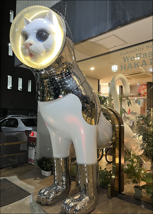 위베이스 고양이