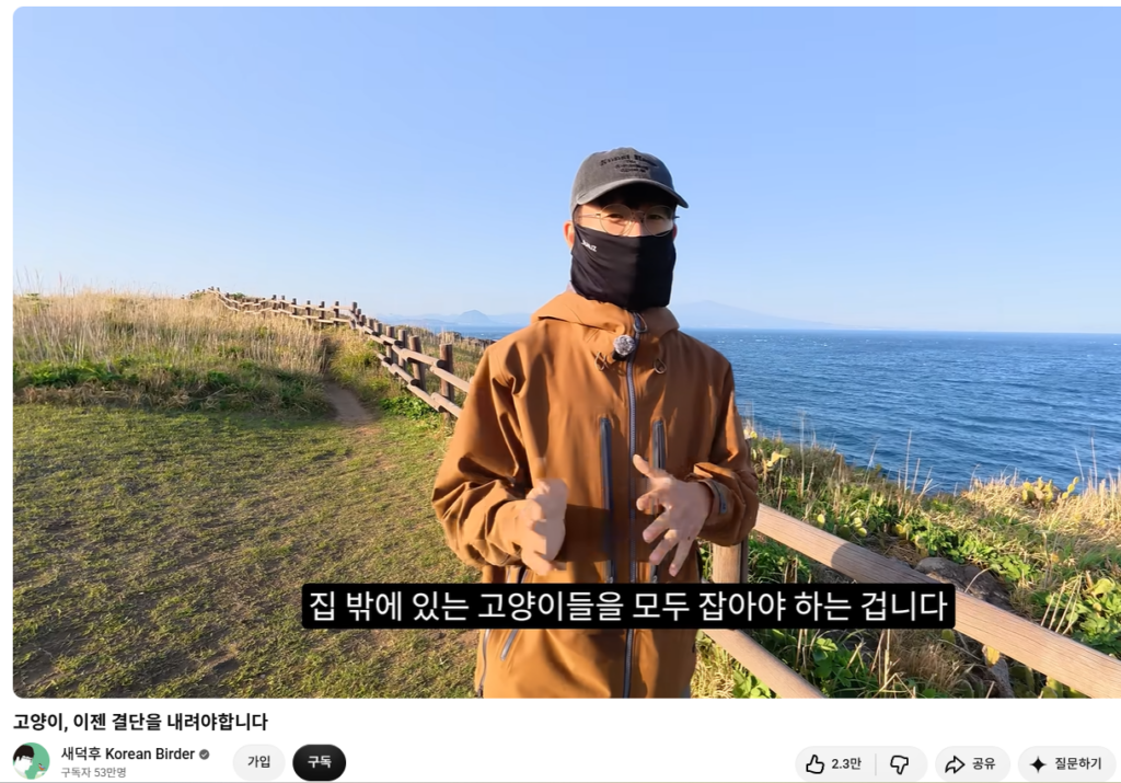 길고양이 살처분 논란 | 국회까지 간 논쟁, 사실은 정반대였습니다 4 image 2