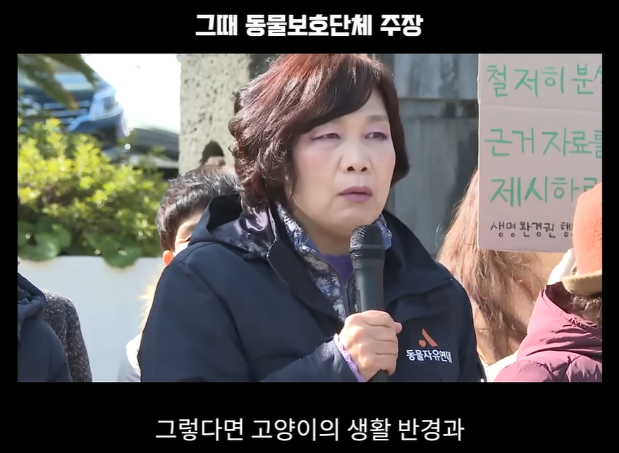 길고양이 살처분 논란 | 국회까지 간 논쟁, 사실은 정반대였습니다 5 image 3