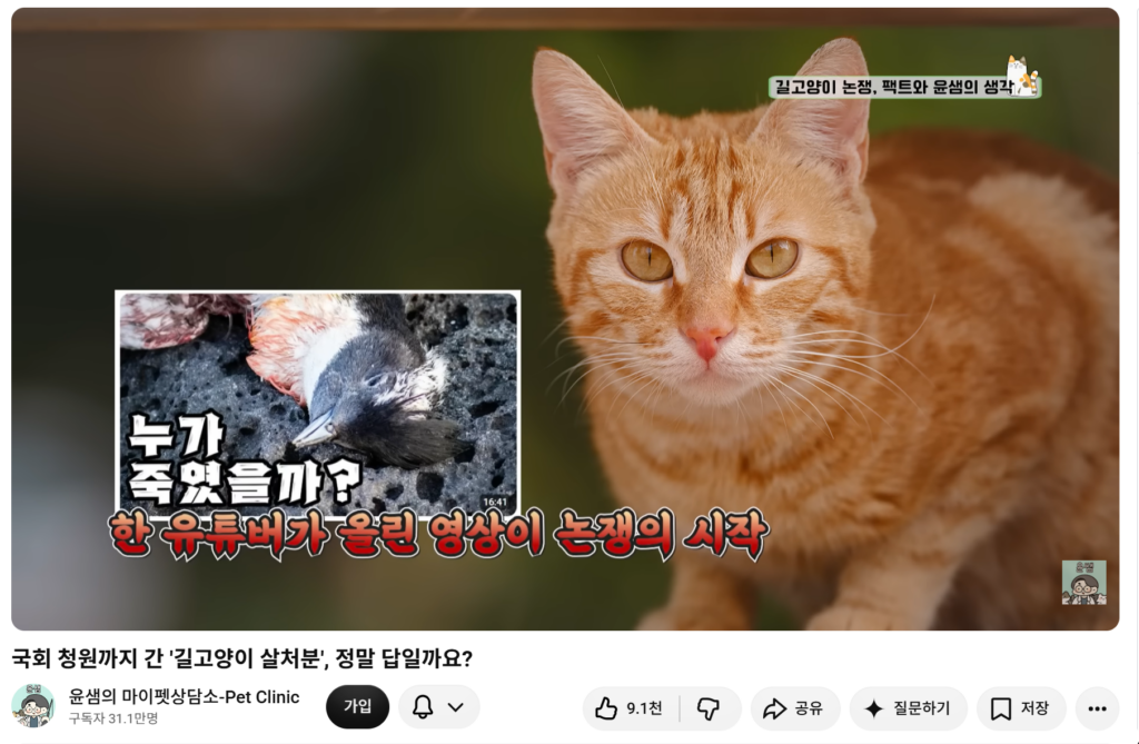 길고양이 살처분 논란 | 국회까지 간 논쟁, 사실은 정반대였습니다 2 image 5