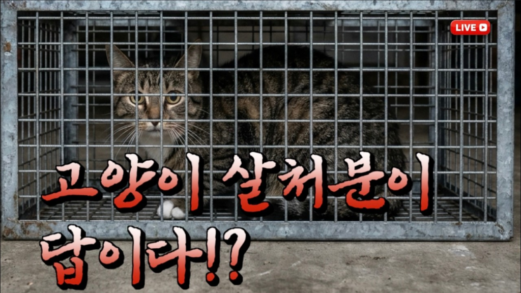 길고양이 살처분 논란 | 국회까지 간 논쟁, 사실은 정반대였습니다 10 image 9